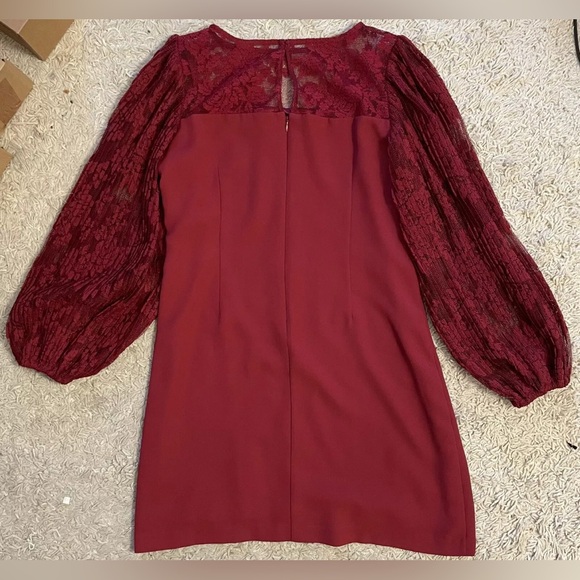 White House Black Market red wine Lace Cocktail Party Dress Women Size 8P 8 P - Picture 6 of 6